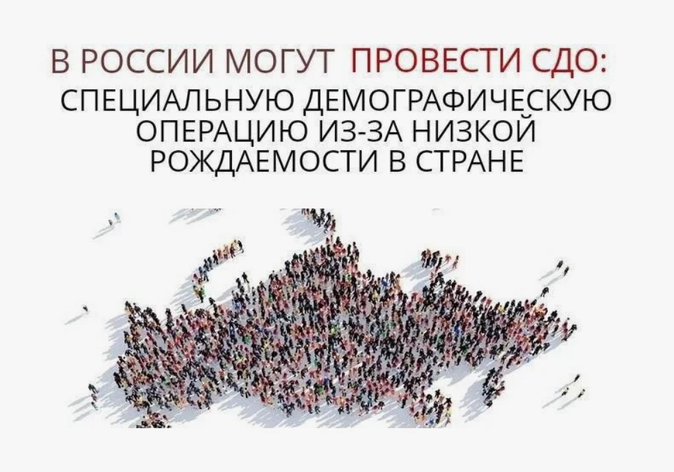 «СДО — специальная демографическая операция». Н.А. Останина рассказала о новых законодательных инициативах в думскую осеннюю сессию